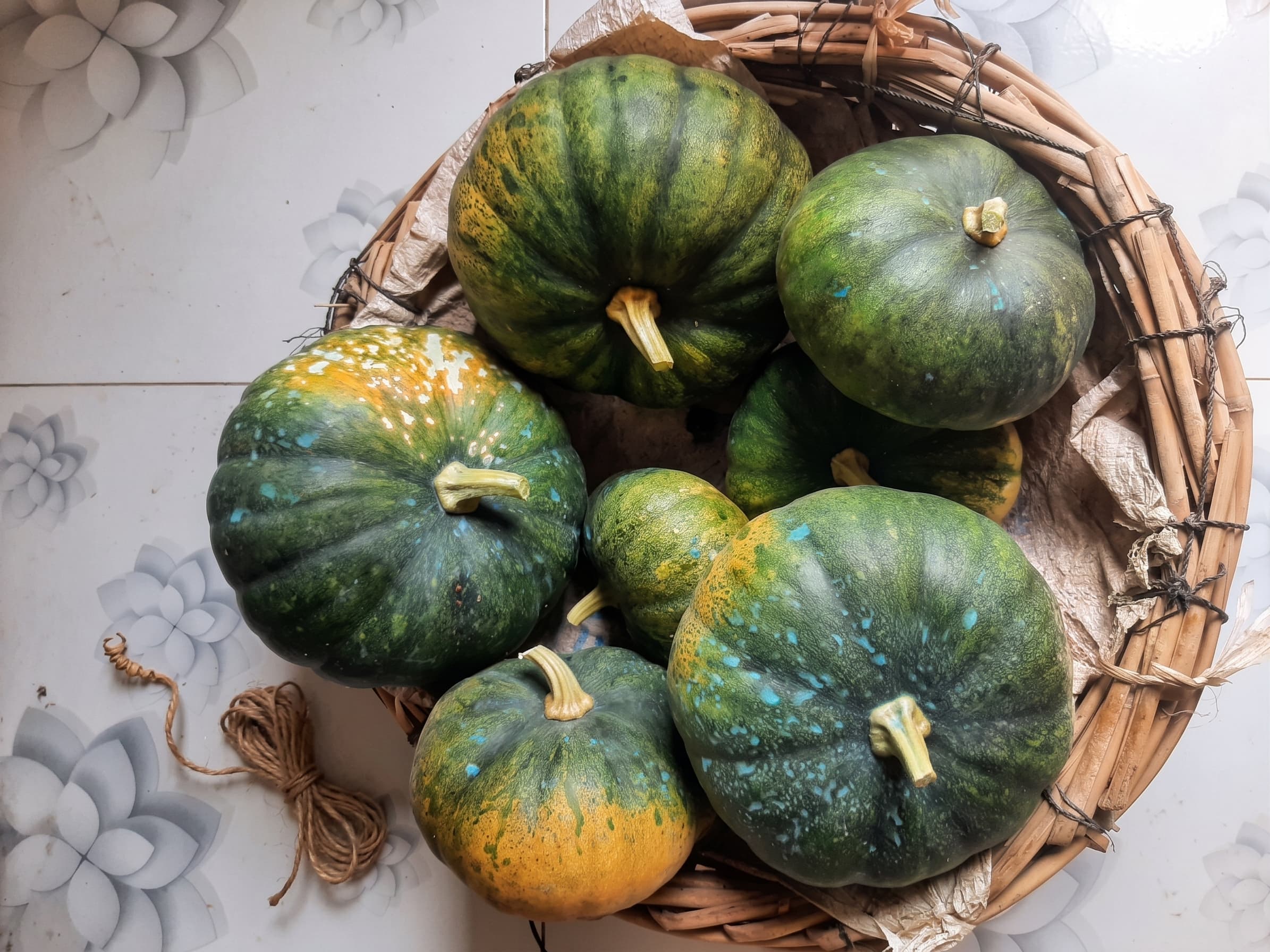 Sweet Field Pumpkins