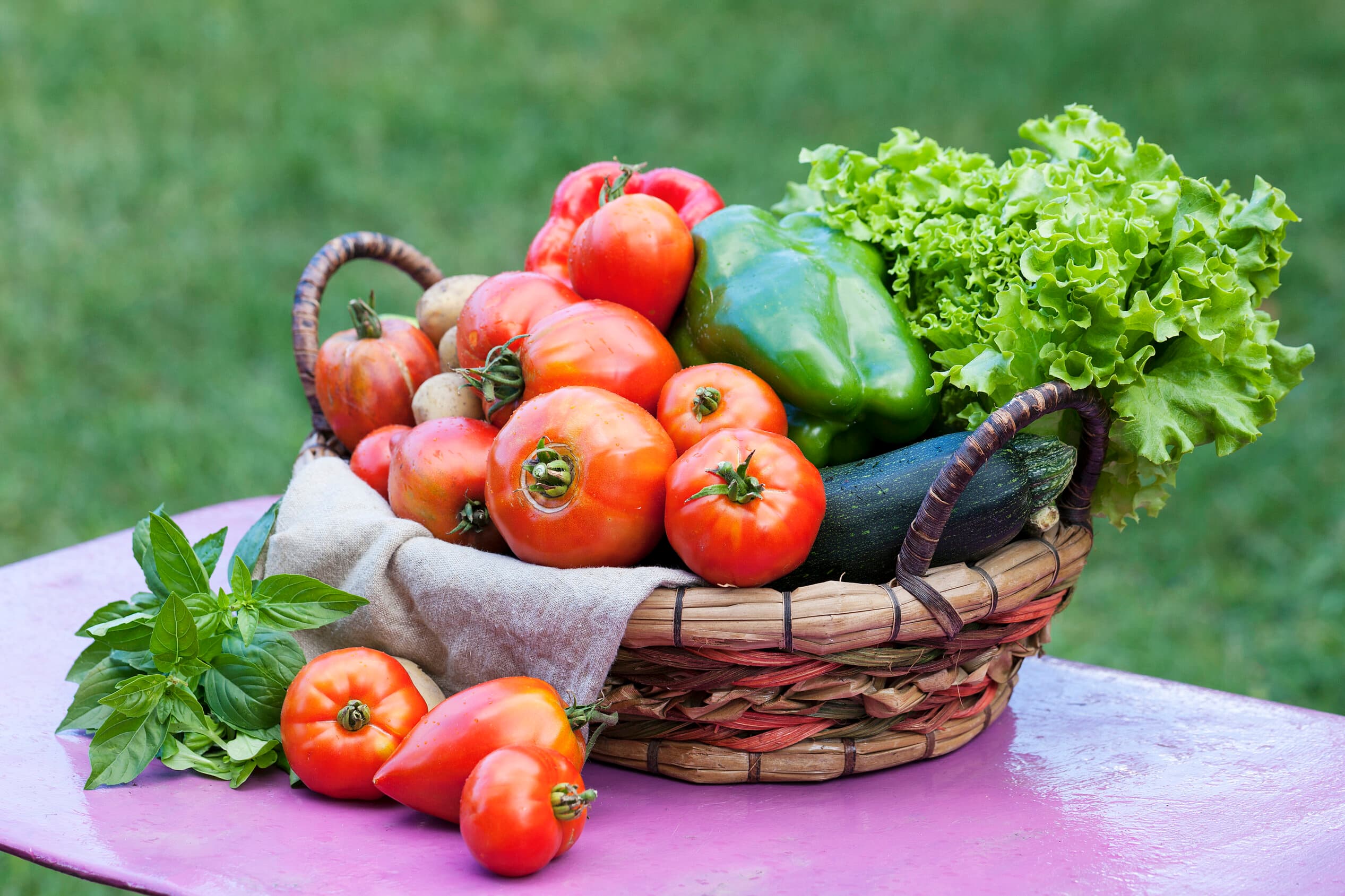 Sampan Eco & Agro Farm Facility