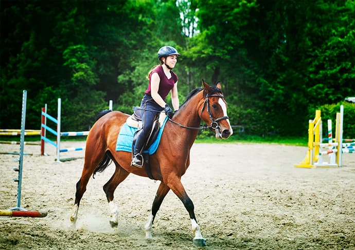 Cycling, Hiking & Horse Riding