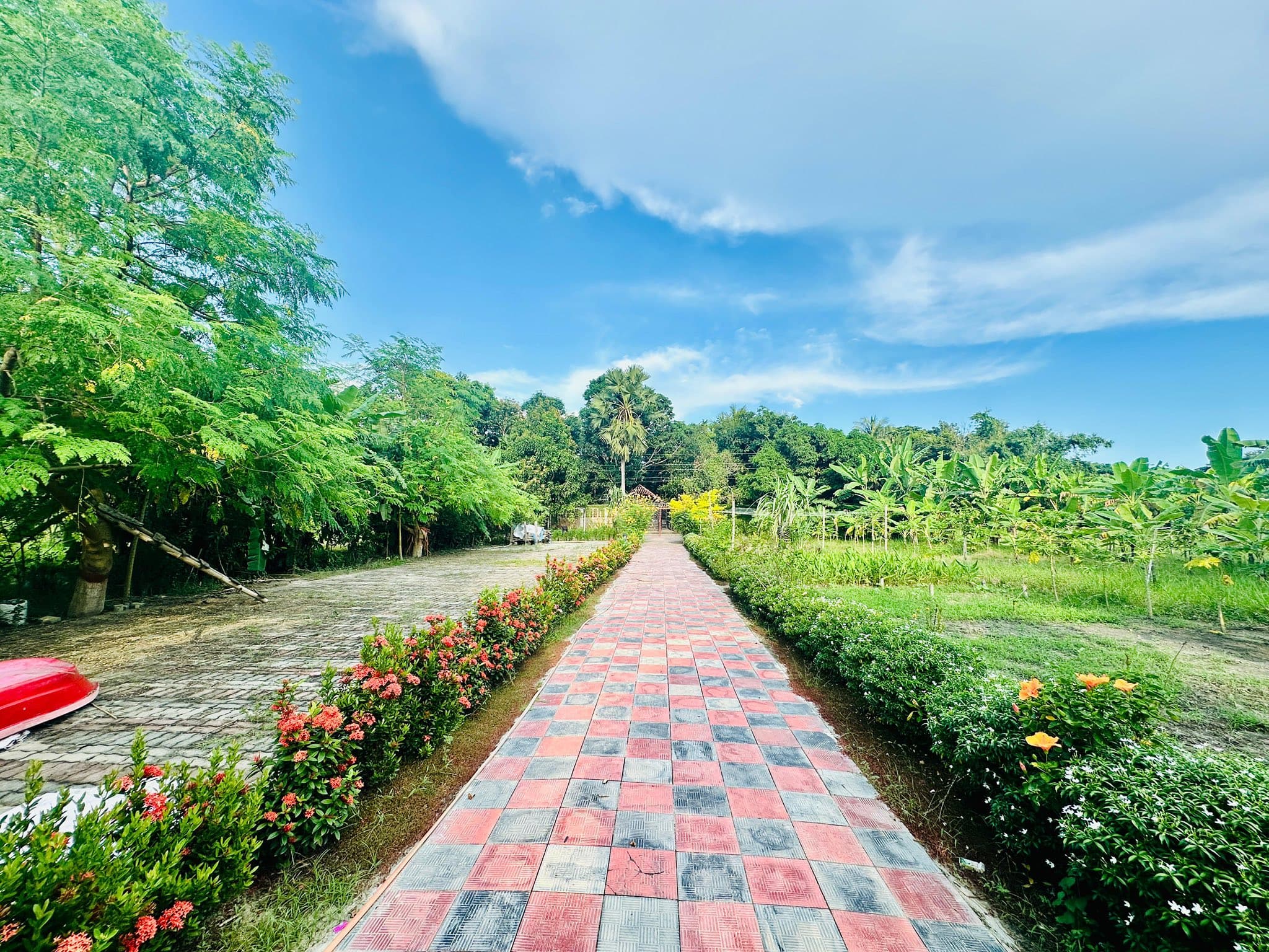 Shaded Tree Canopies & Resort Walkways